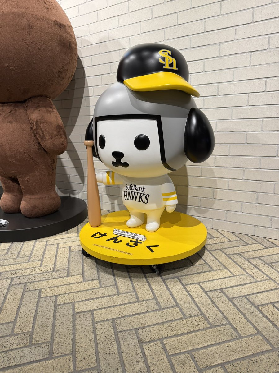 SassaHero's tweet image. 来た来た #PythonFukuoka
