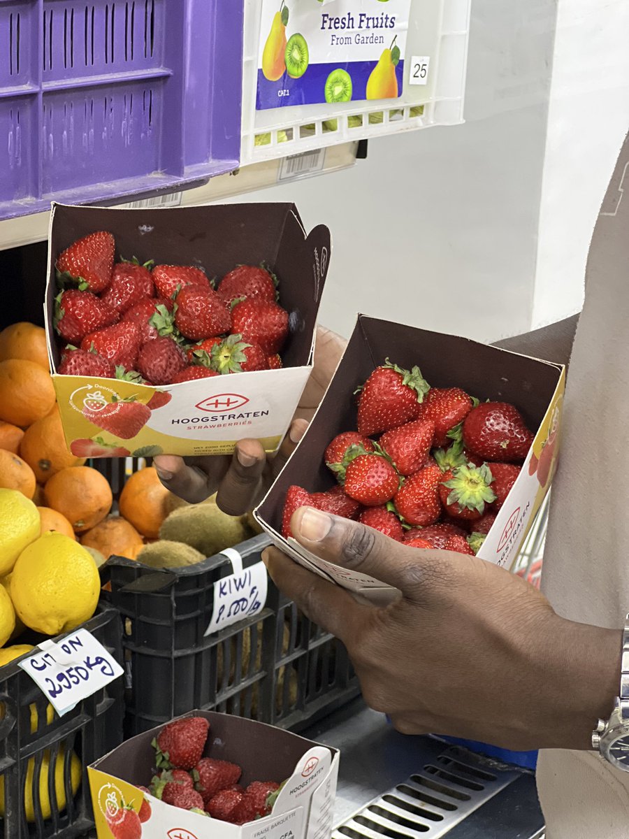 BSS_supermarche's tweet photo. Nouvel arrivage de fruits et légumes à BSS !🍓🍇🍈🍊🍎🍏

De la couleur, du goût et de la fraîcheur : fraises, raisins, melons, oranges, champignons …

👉 Passez vite remplir vos paniers !

#BSS #FruitsEtSaveurs #NouvelArrivage #CoursesFraîcheur
#PlusQuUnSupermarchéUnMouvement https://t.co/ElzLjaIjOw