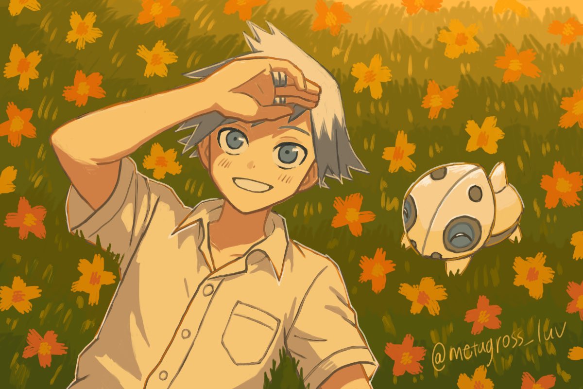 ×タグロスだいすき (@metagross_luv) on Twitter photo 