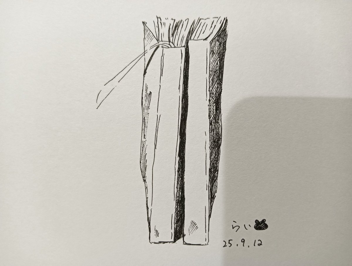 34.よく使ってる落書き帳×2
#ペン画
#スケッチ
#毎日一枚お絵かき