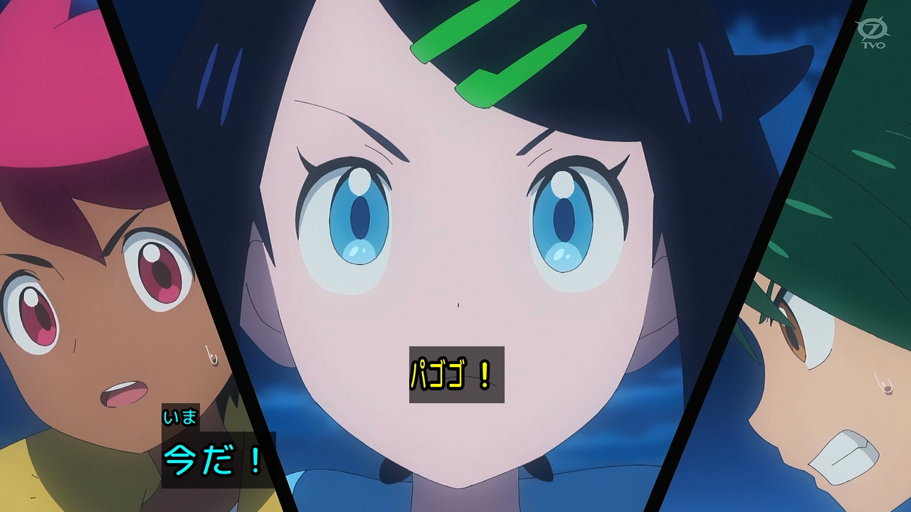 カピバラ×アルパカ＝アルバラ8🦙🦙🦙🦙🦙🦙🦙🦙 on X: 