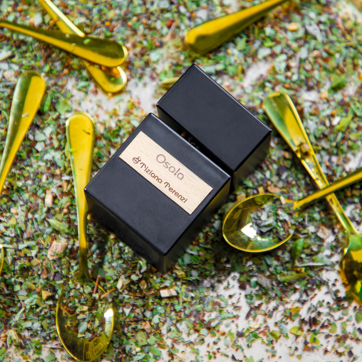 新商品】 Tiziana Terenzi｜オゾラ イタリア北端、自然と伝統が息づく