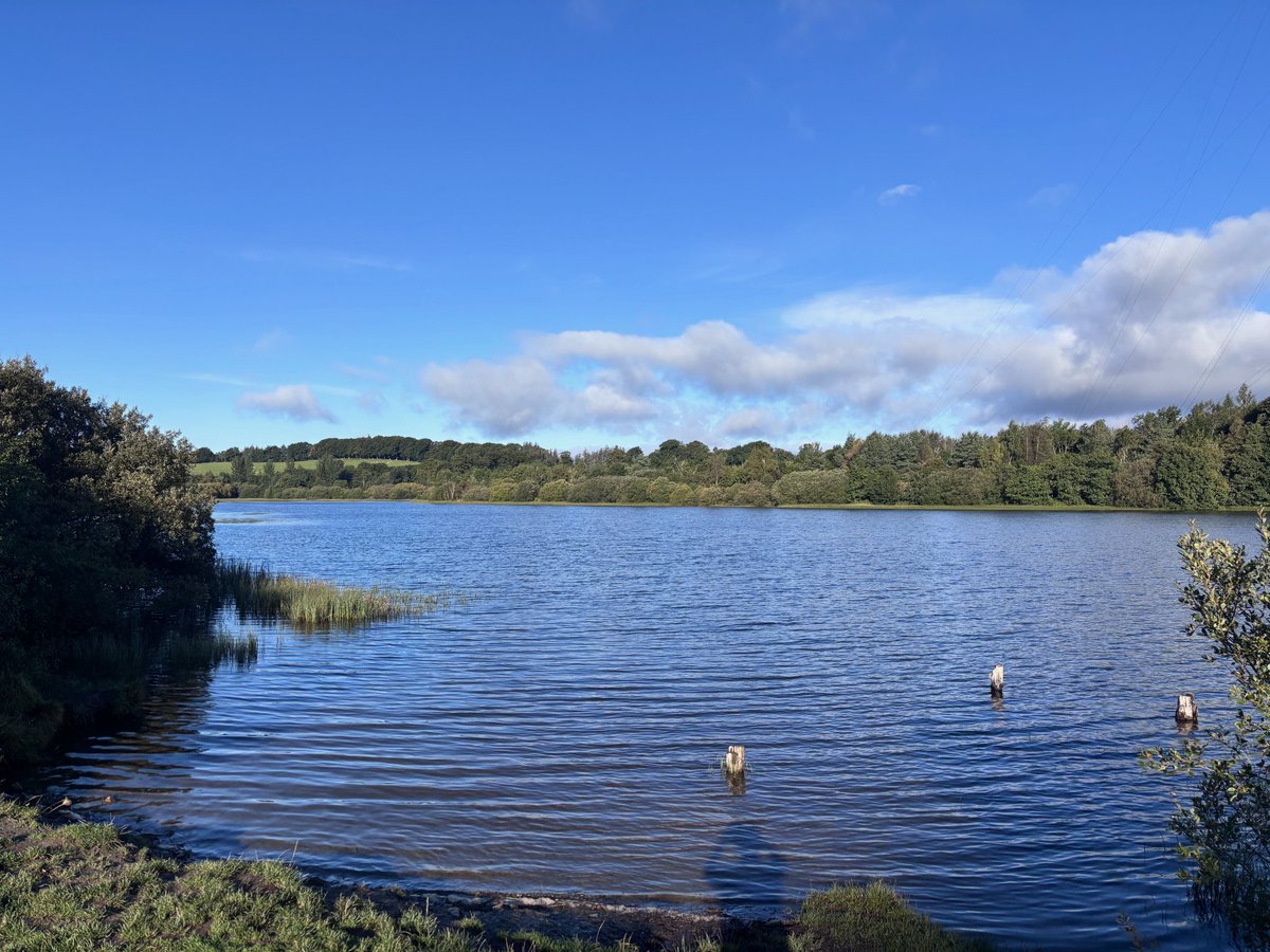 FionaDrane's tweet image. Early morning swim. Couple from the South of England telling me how they were love swimming at Lindean on their holiday. How beautiful it is. Felt so grateful for having it on my door step. And to live here in this beautiful part of the world.  #lochswimming  #lovewhatyoudo