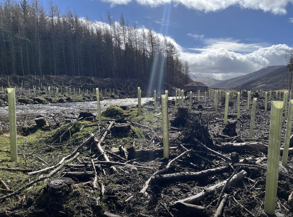 APA Corporation tweet media