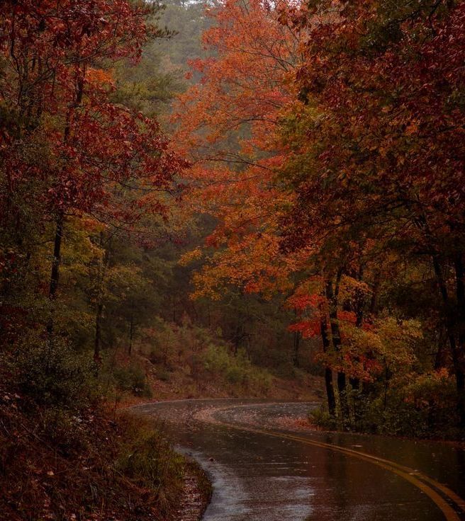 autumn girl tweet media