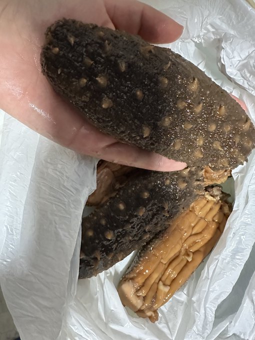 Sea_cucumber