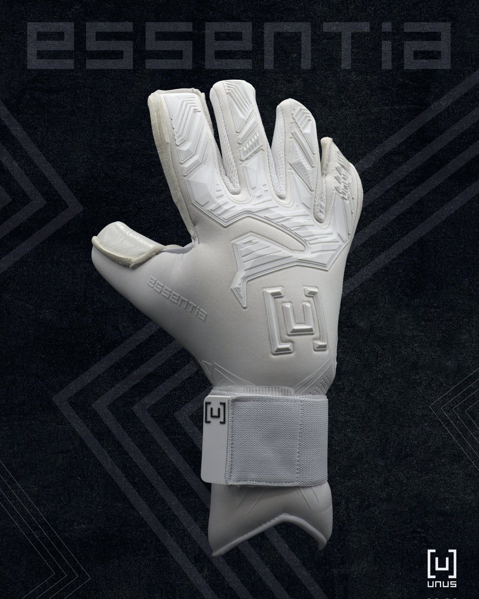 🆕🧤⬜

🄴🅂🅂🄴🄽🅃🄸🄰

#Essentia #Unus #GK #Blanco #Gloves #Goalkeeper
