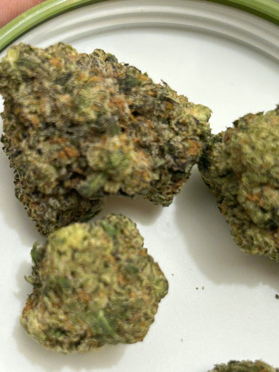 GM just a little purple submarine. Have a positive day and be kind to one another!