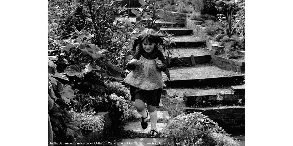 Seven Dials Trust tweet media