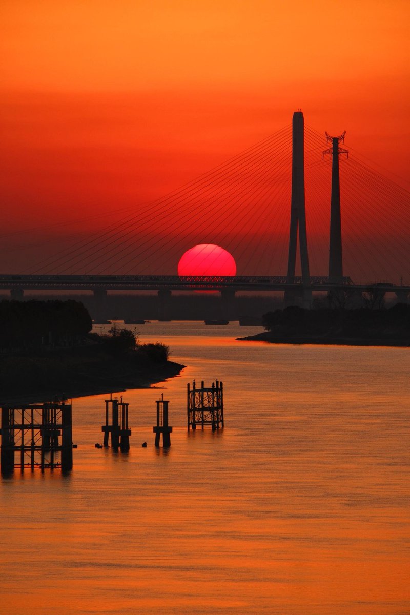 花间晚风 tweet media