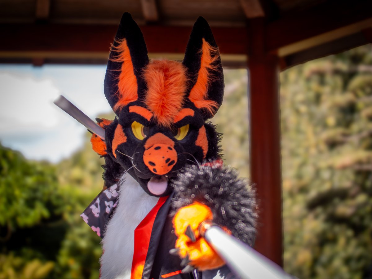 wolflycaon's tweet photo. Just a wolf guarding the peace in a Japan... with a lightsaber! 🌸⚔️
Pic by: @KennyVenturry
#Furry #FursuitFriday #FurryFandom #Fursuiter #SamuraiVibes #StarWarsStyle https://t.co/OxZJ6QvNXe