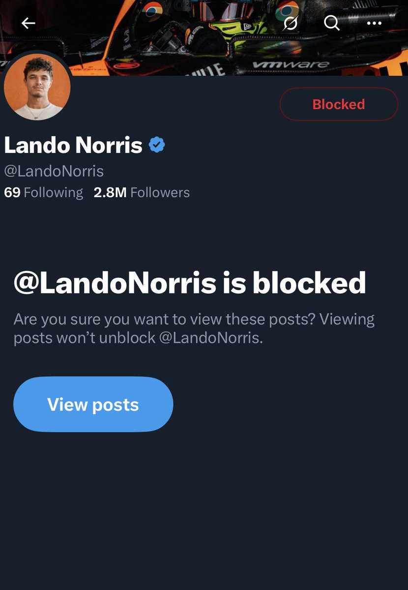 acordei meio irritada hj n sabia oq fazer aí resolvi bloquear o Lando Norris