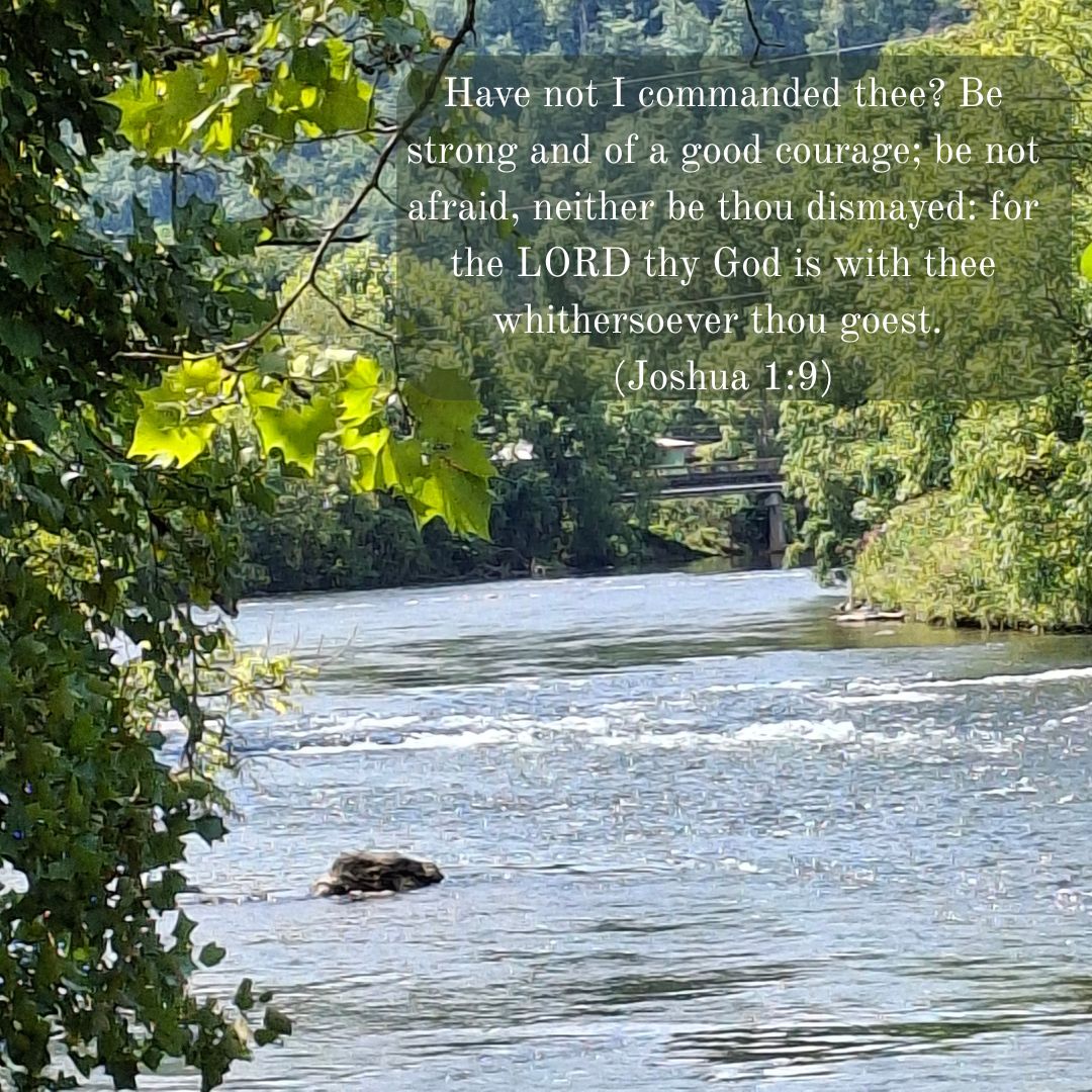 Have not I commanded thee? Be strong and of a good courage; be not afraid, neither be thou dismayed: for the LORD thy God is with thee whithersoever thou goest. (Joshua 1:9)