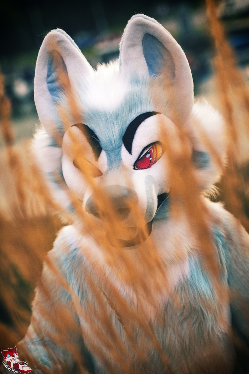 The weekend is lurking us like I'm lurking for you 👁️

Happy #FursuitFriday!

📸: <a href="/KayJayFIN/">KayJay</a>
🪡: <a href="/ItsCraftyCoyote/">Coyote</a>, me/Nightless Creations 

#furry #fursuit