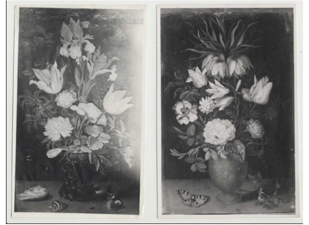 moanaweilc tweet media