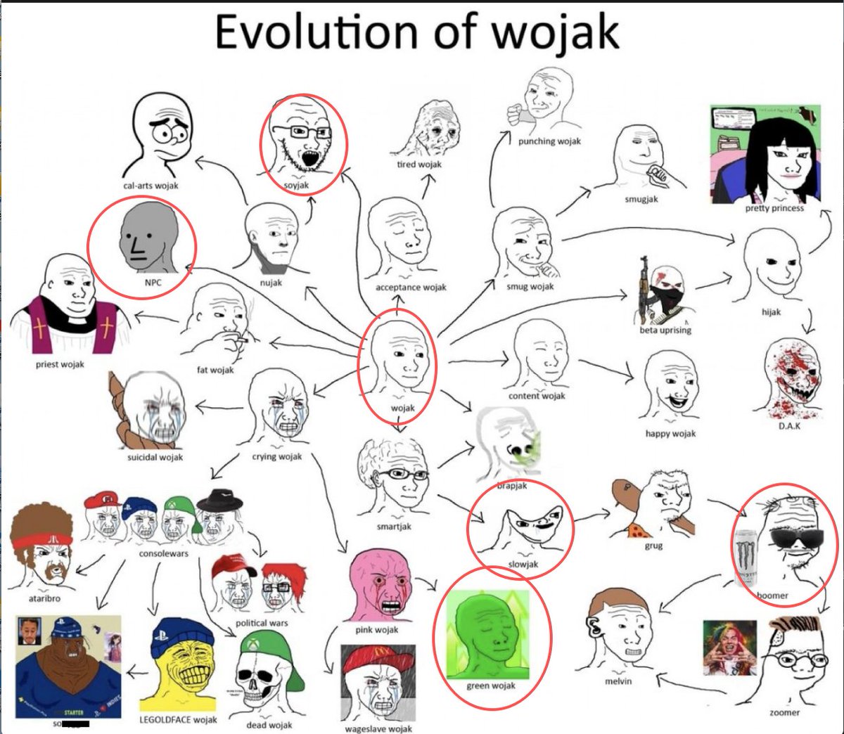 wojak evolution: npc boomer slowjak(brainlet) soyjak 衍生表情之王，堪比pepe, image size:1200x1044