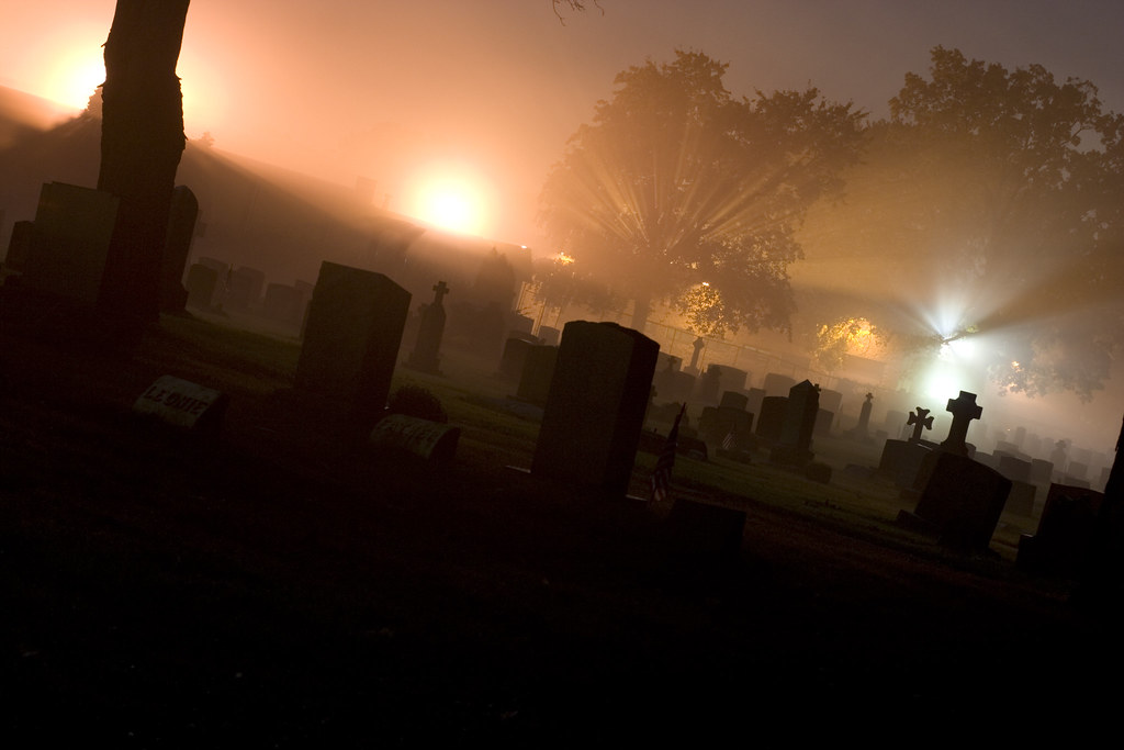 Free Flash Fiction tweet media