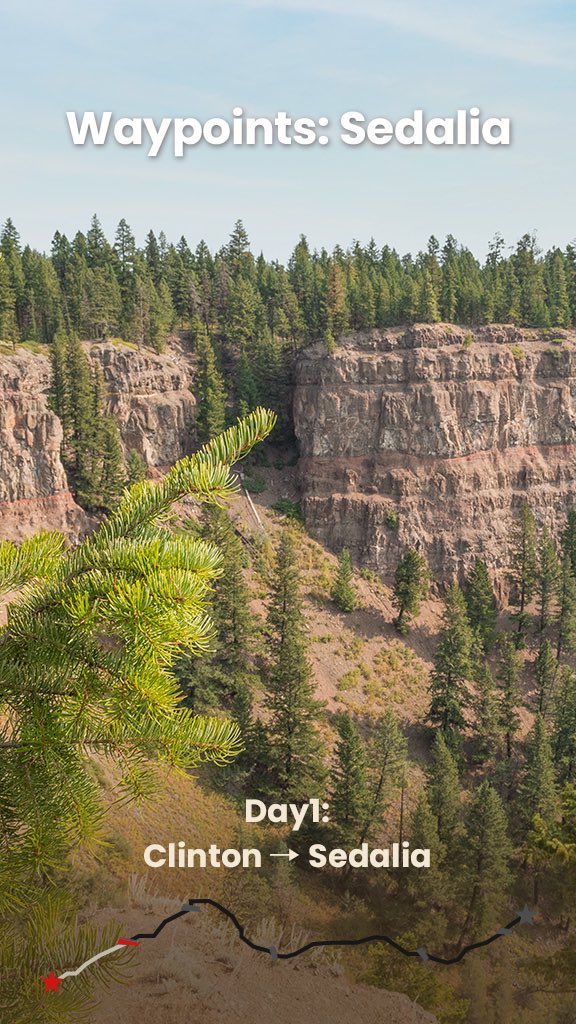PuckipuppyBikes's tweet image. 🤠 Who hasn’t snapped a pic on the Katy Trail yet? Trust me, you don’t wanna miss it!
Even folks with 30 years of cycling under their belt say this route is a must. 🌳
#route #katytrail #railstotrails #ebike #EMTB #puckipuppy #cyclingroutes