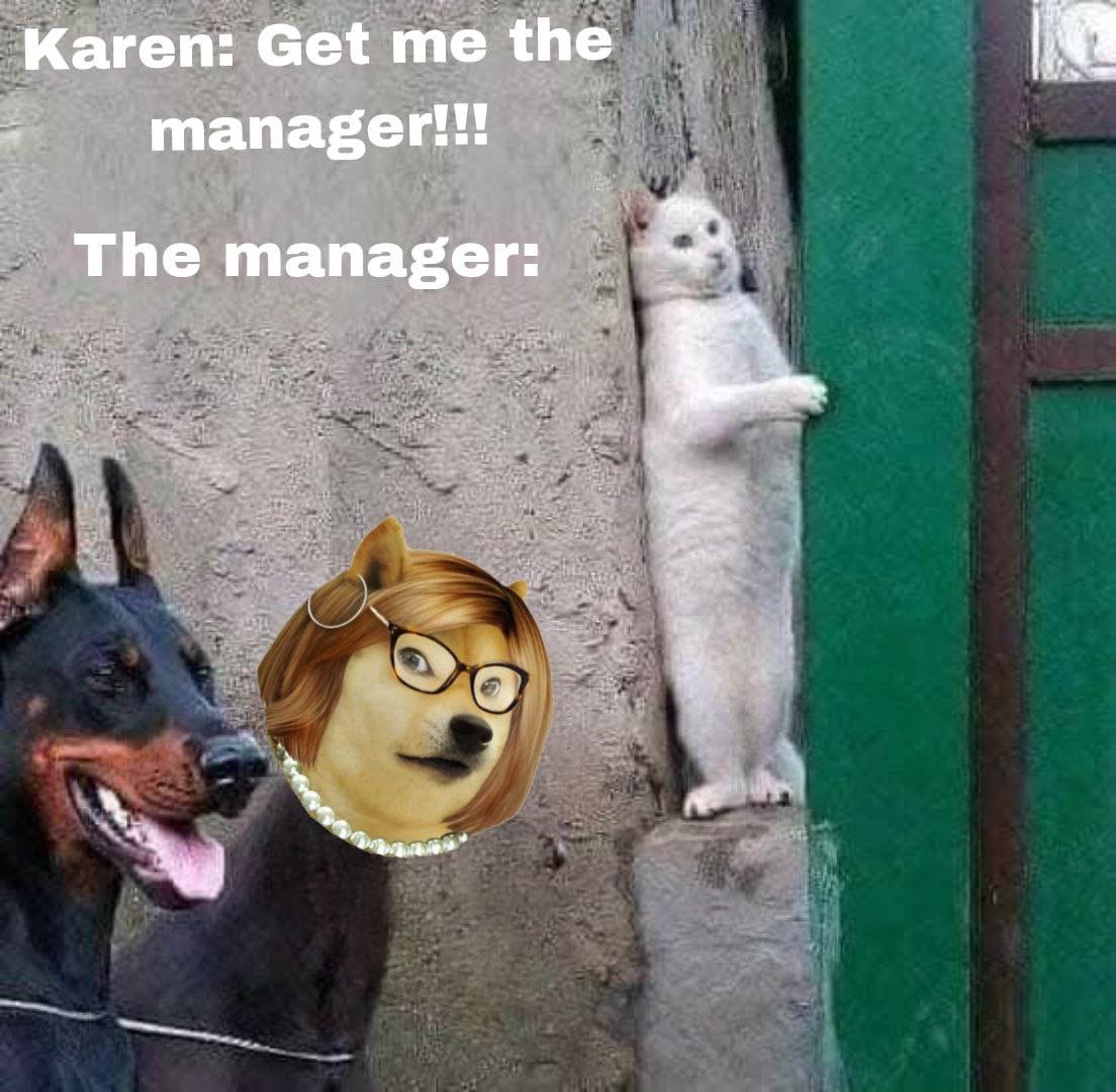 Alfredriano | $SANI | $KAREN tweet media