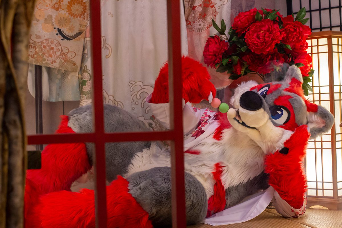 Anything that's on a stick tastes 10 times better! Like Dango!

Digging prehistoric archives, 📷 from <a href="/huskgen/">Huskgen ( ͡ʘ ͜ʖ ͡ʘ) Phuket🇹🇭</a> 
#FursuitFriday