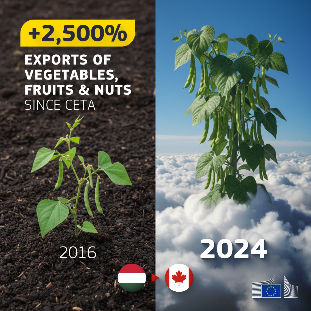 EU Trade 🇪🇺 (@trade_eu) on Twitter photo We don't want to be corny 🌽 but Hungary’s 🇭🇺 trade just went nuts 🥜
Snack on that. More info here 🔗 europa.eu/!gvK3Nd
#EUTrade #CETA We don't want to be corny 🌽 but Hungary’s 🇭🇺 trade just went nuts 🥜
Snack on that. More info here 🔗 europa.eu/!gvK3Nd
#EUTrade #CETA
