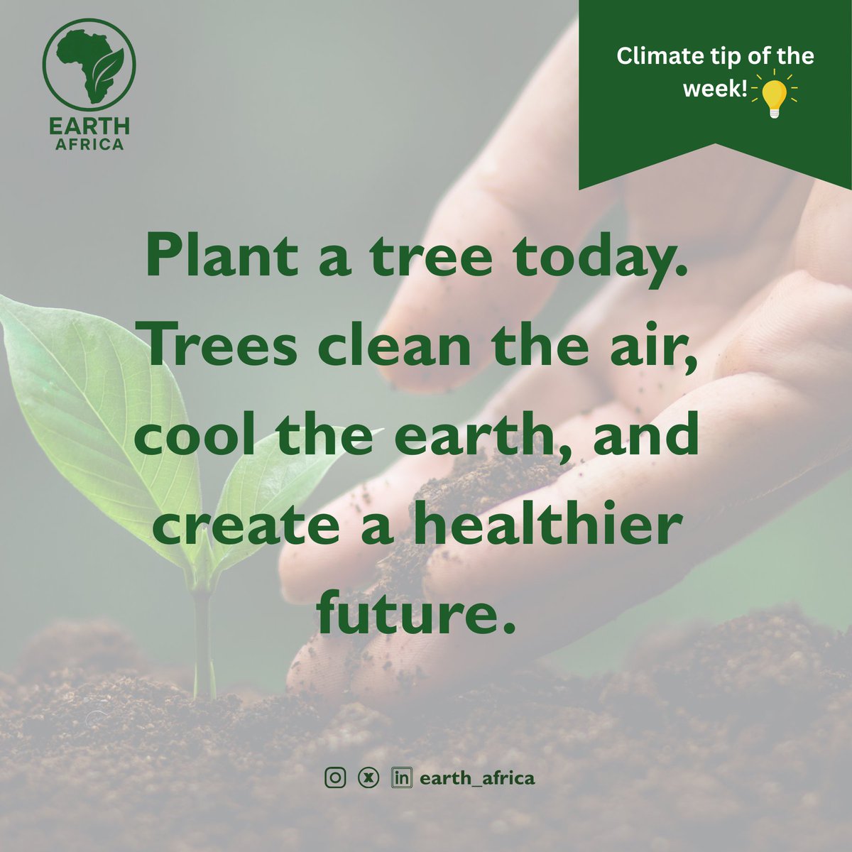 🌳Plant a Tree! Trees absorb carbon, clean the air &amp; cool the earth. 
One tree today = a greener tomorrow. 🌱 #ClimateAction #GoGreen #SustainableLiving