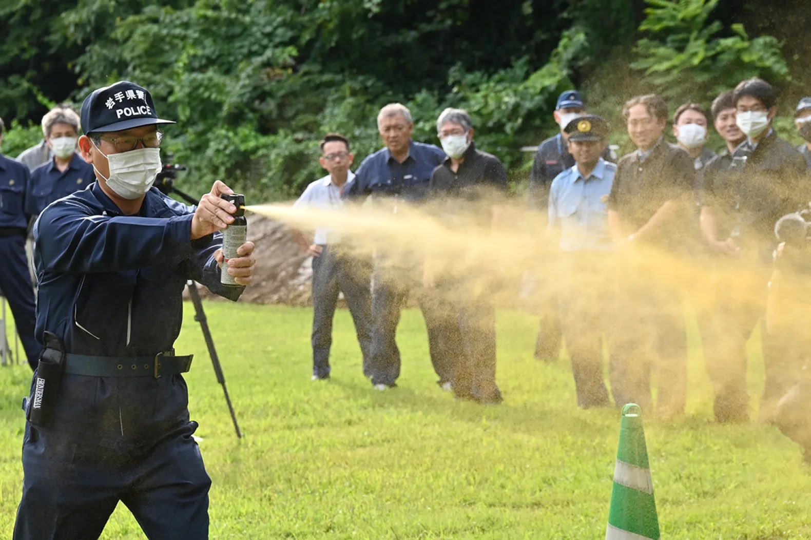 ❷ ヒバ ( 岩松 ） 首長最上株物 ３０年以上 新株が出て居ます 8月企業倒産件数“前年比11.3％増” 3カ月連続で前年上回る - YouTube