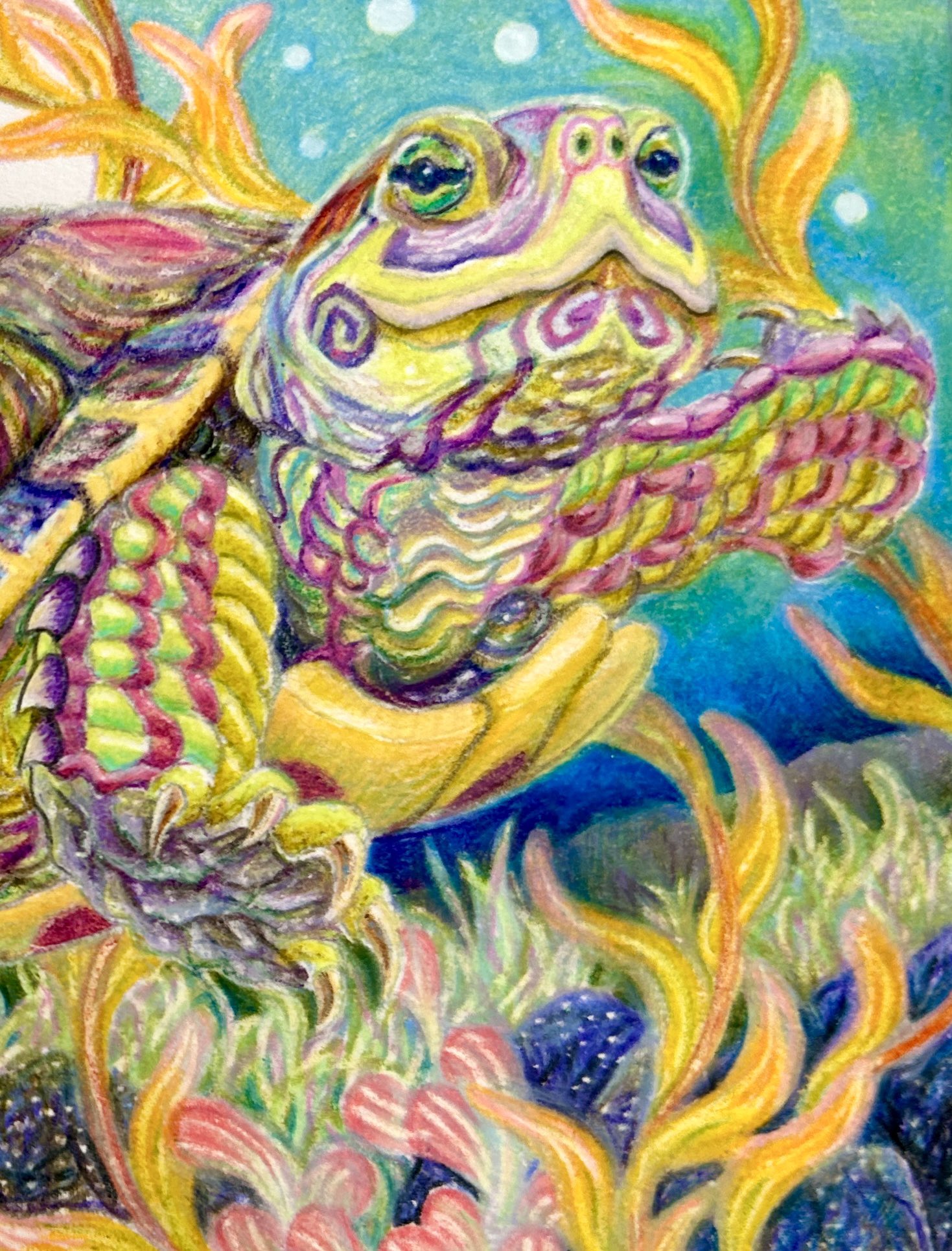 BIO絵COLOGY on X: 
