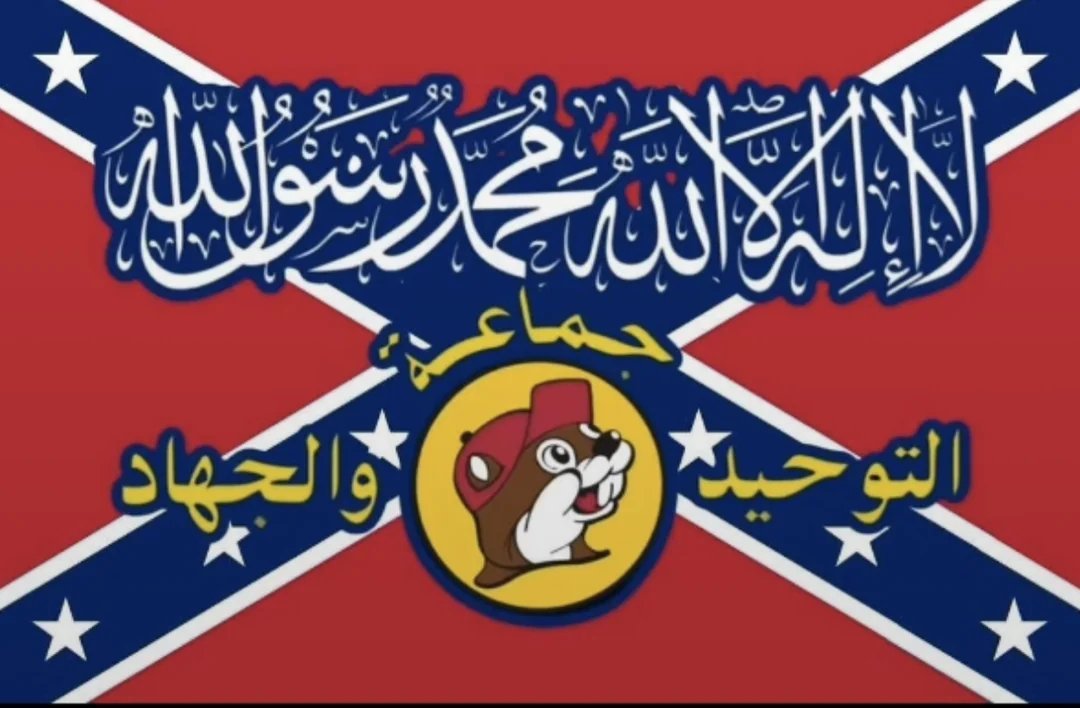 DarkFibre tweet media