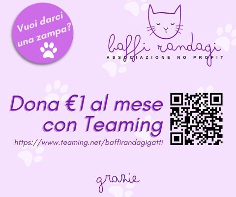 Iscriviti a Teaming e con 1 euro al mese sosterrai i Baffi Randagi, meno di un caffè al mese!!!