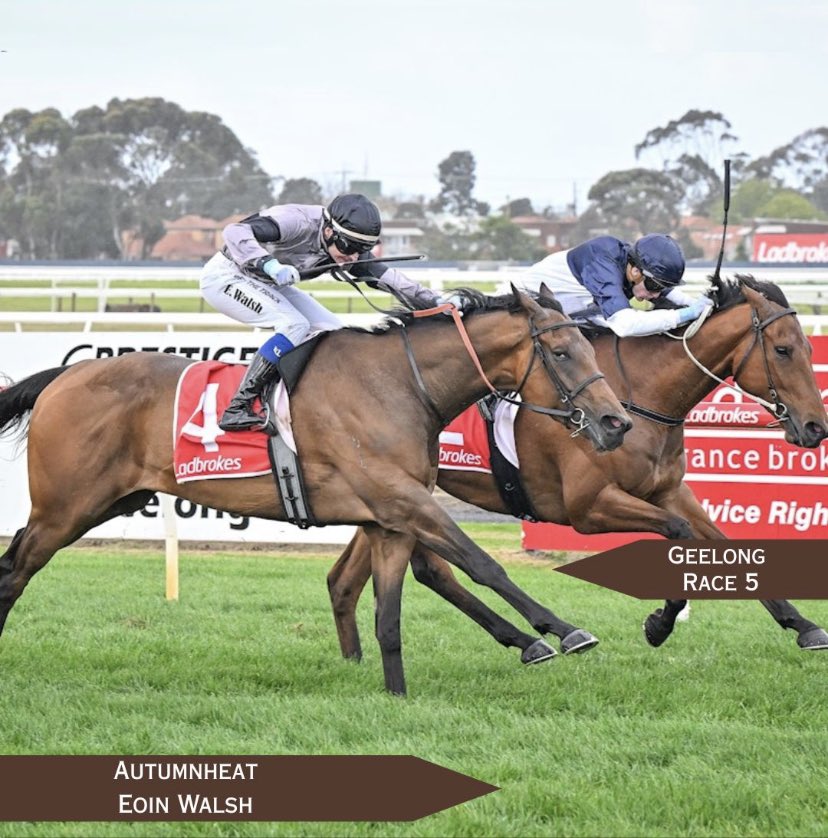 Autumnheat 🔥

Back to back!
Autumnheat showed real grit today, scoring a tough win over 2440m at <a href="/GeelongRaceClub/">Geelong Racing Club</a> 

A perfectly timed ride from <a href="/EoinWalsh3/">Eoin Walsh</a> sealed the deal right on the line 🐎

Huge congratulations to his owners, Kevin &amp; Prue Riddell 🥂