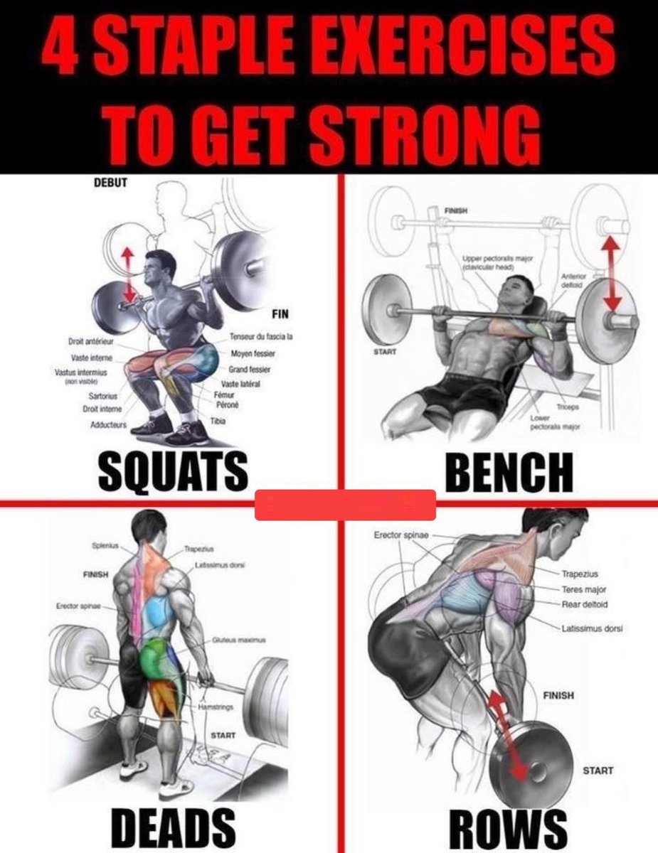 FitnessGuide0 tweet picture