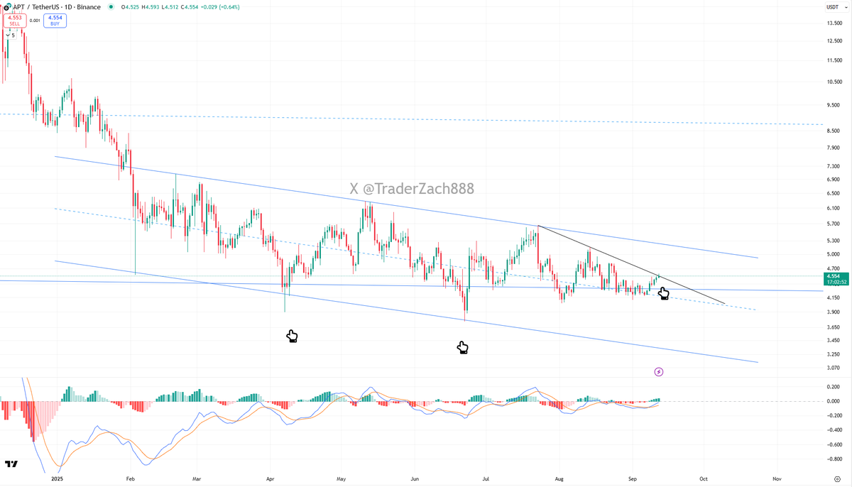 Trader Zach | 小扎 tweet media