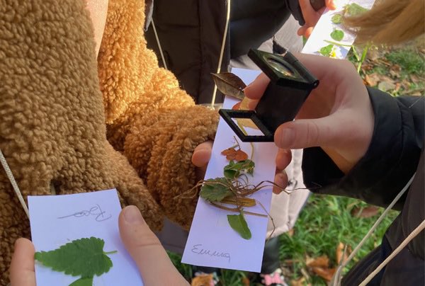 Caccia agli Alberi Reali
Visita guidata
Gli alberi lasciano messaggi, tracce e racconti della storia e natura del nostro territorio, tocca a noi scovarne il significato e superare le prove come dei veri detective. 
Data: 28.9.2025
Partenze: 15 - 16,30

ℹ️reggiadimonza.it/cosa-accade/vi…