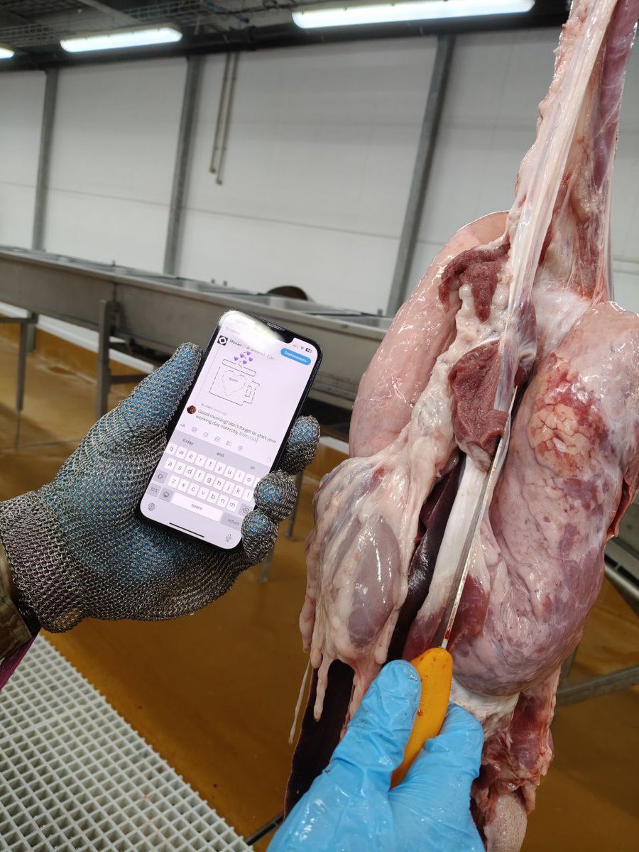 DartEnergyBit's tweet photo. #Monad and meat processing plant 😁don't forget to start your working day correctly #BillMonday https://t.co/xDkb4dD6eG