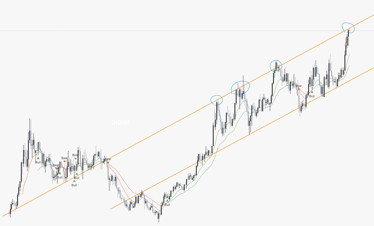 thinkingblob's tweet image. tp'd $hype here
- usdh governance debate + paypal hl tweet should be one of hl's highest attention events since tge itself
- paypal's tweet brought extra attention but unlikely to change the outcome of the vote for paxos win, nm still heavy favourites
- will face some resistance…