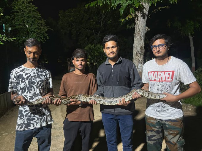 airnews_abad's tweet image. ➡️વડોદરા ખાતે 6.5 ફૂટના અગજરનું રેસ્ક્યૂ કરાયુ
➡️કારેલી બાગ ખાતેની ચેપી રોગ હોસ્પિટલ ખાતેથી કરાયો રેસ્ક્યૂ
➡️ભારે જહેમત બાદ રેસ્ક્યૂ કરીને વનવિભાગને સુપ્રત કરાયો
➡️વાઇલ્ડ લાઇફ રેસ્ક્યૂ ટ્રસ્ટ દ્વારા રેસ્ક્યૂ ઓપરેશન હાથ ધરાયુ
#Vadodara #Rescue #Indianrockpython