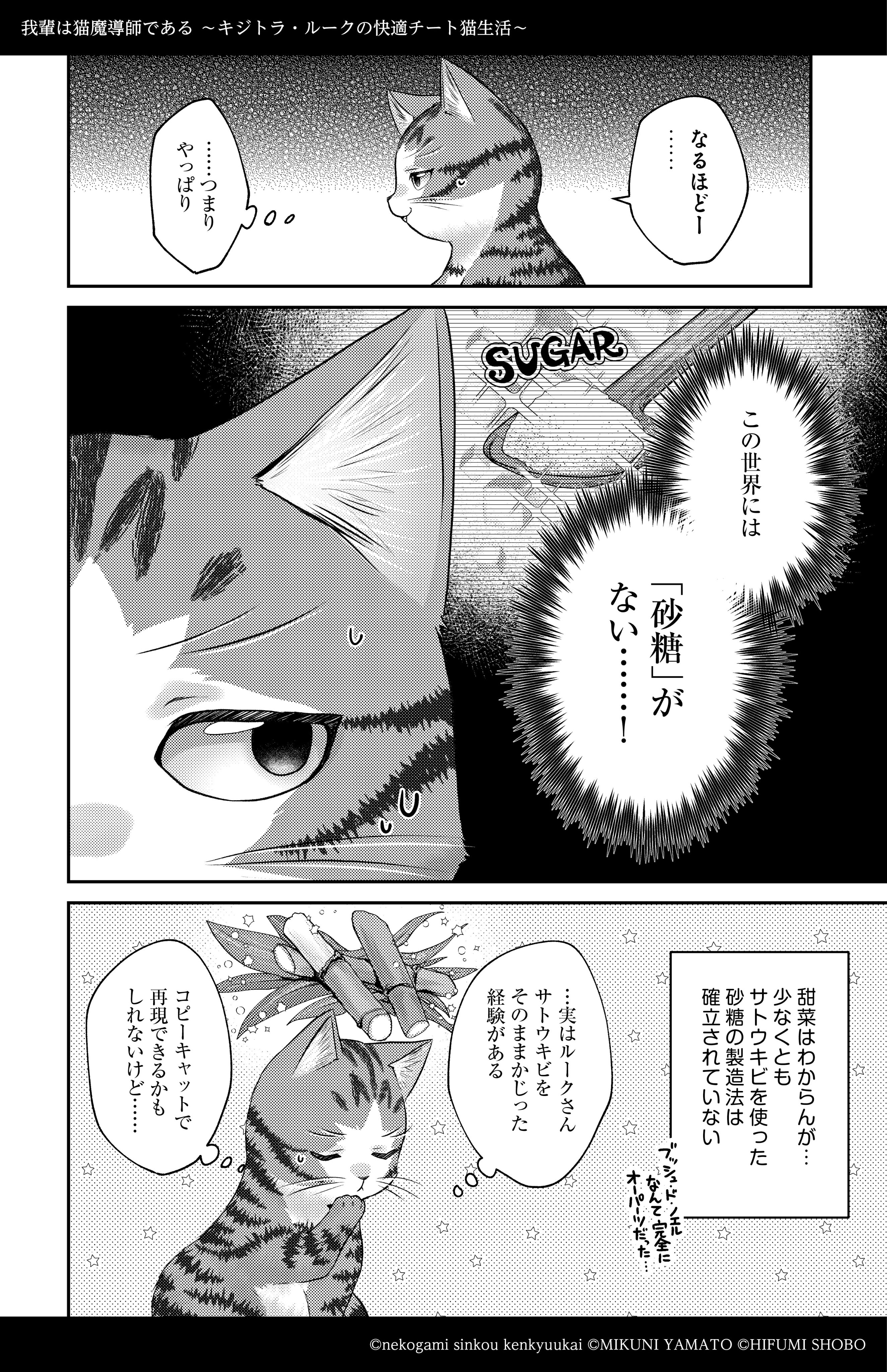 文学・小説 misumi 蝉文学vol.1 | 小声書房