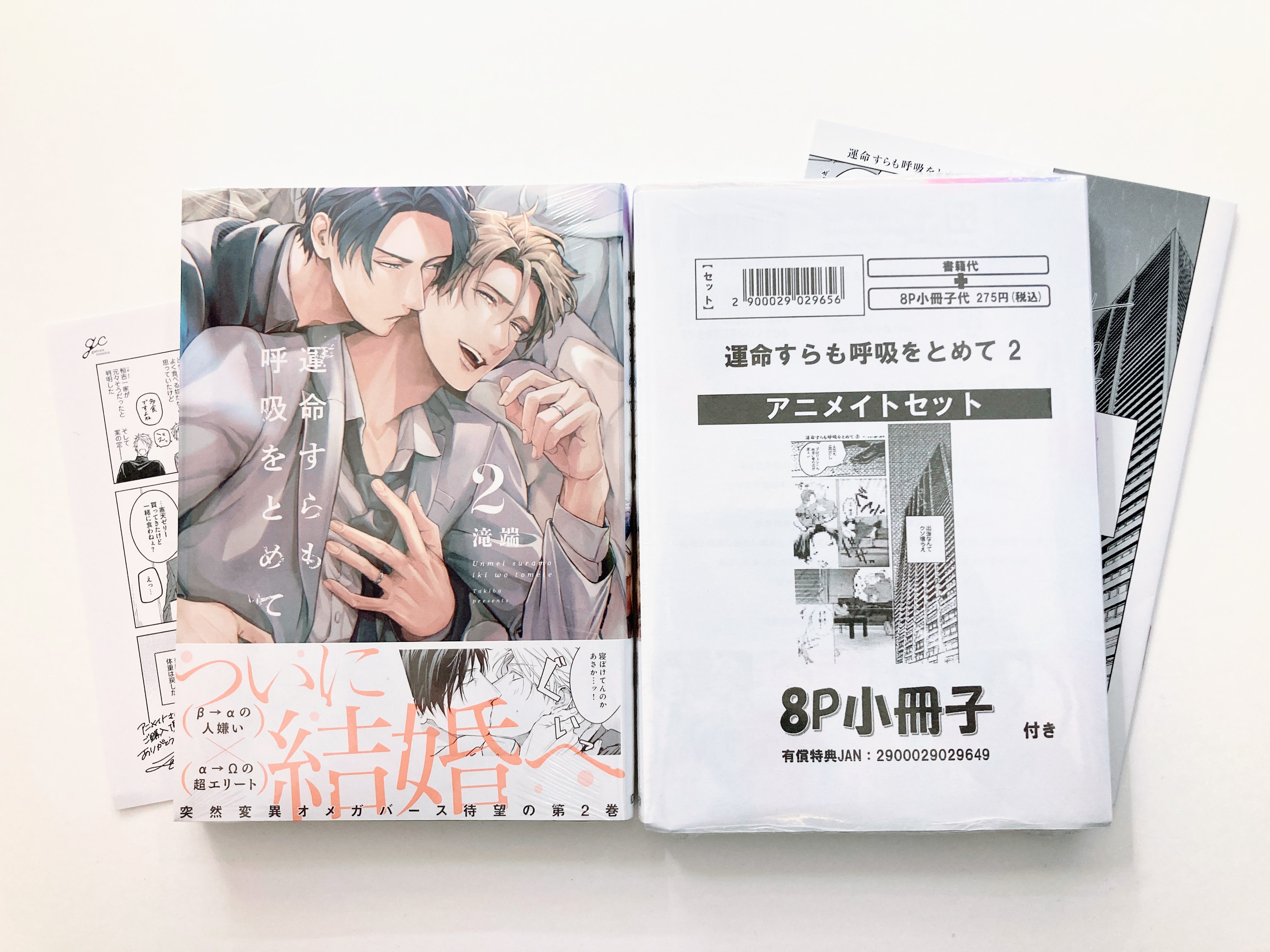 オーバーラップ文庫 アニメイト限定フェア特典 小冊子 オーバーラップ夏フェス2025 -オーバーラップ12周年フェアin