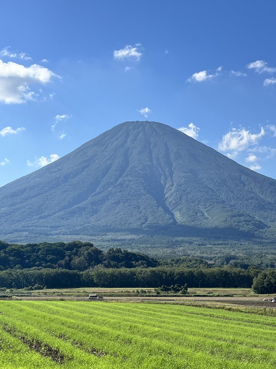 今日の観光 その5

#羊蹄山

これで雪が積もったらほんと富士山に
似てるね😆 雄大です！