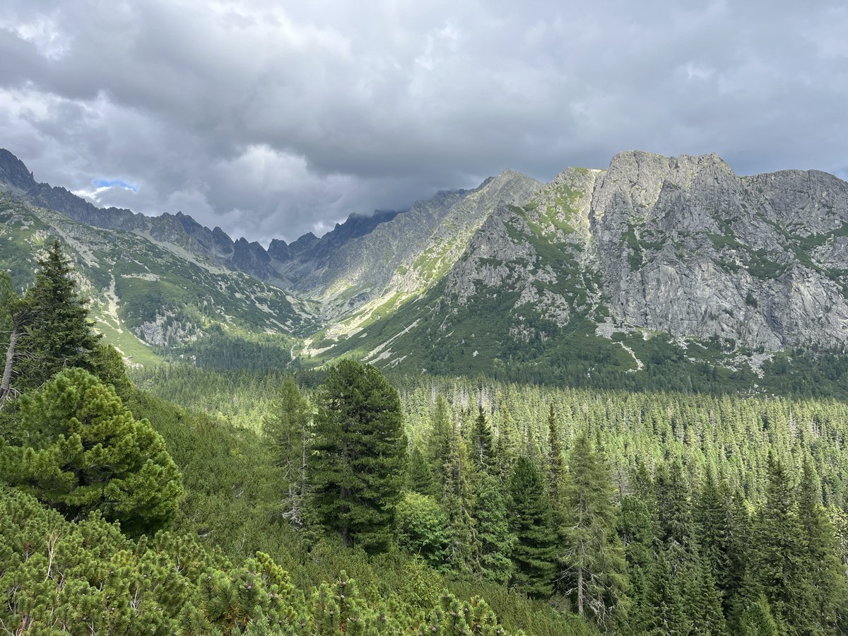 Gm to everyone who touches grass regularly