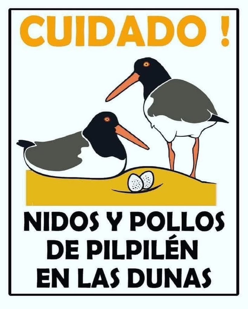 Tunquén Sustentable (@tunquensustent) on Twitter photo 