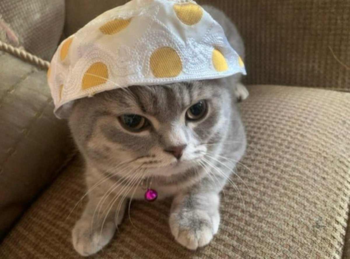 #صباح_الخير
الشيخ كيكي