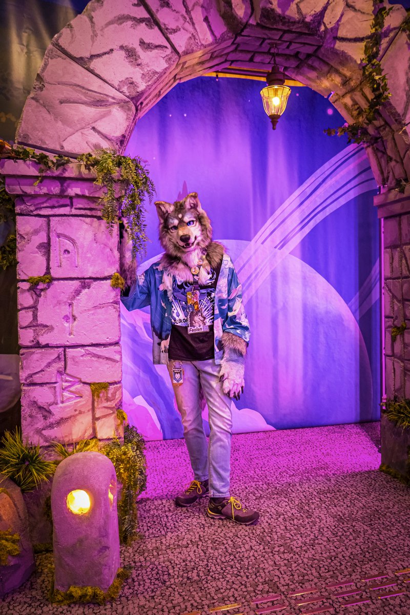 FaoWusky's tweet photo. Happy #FursuitFriday 🐺

✂️: @nagi_fursuit 
📷: @FaoWusky &amp; @Dragynus 
📍: CCH Hamburg, Germany 
#Eurofurence29 #EF29 https://t.co/rXwAJdrYns