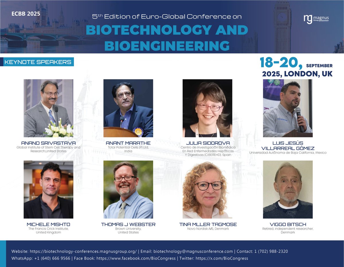 Magnus Group tweet media