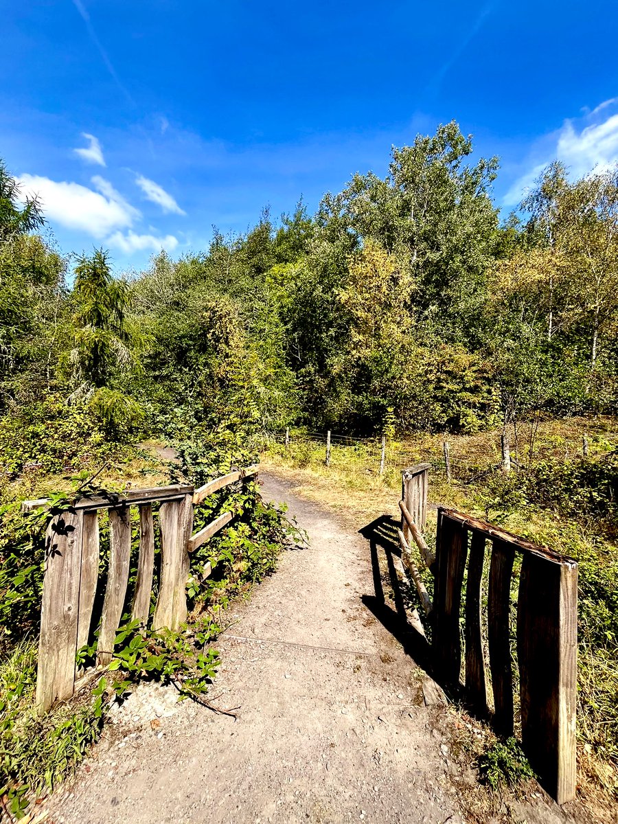 Happy Friday, lovely people…
Have a fantastic day ahead! 😊💙

#NatureBeauty #NaturePhotography