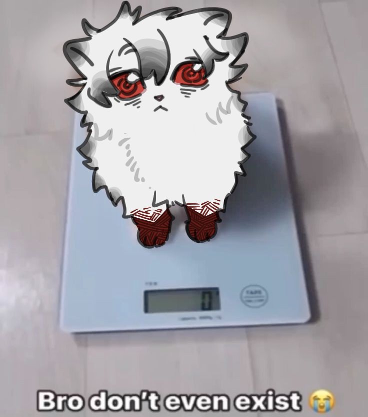 Tinee ahh gato
#GachiArt #RudoSurebrec