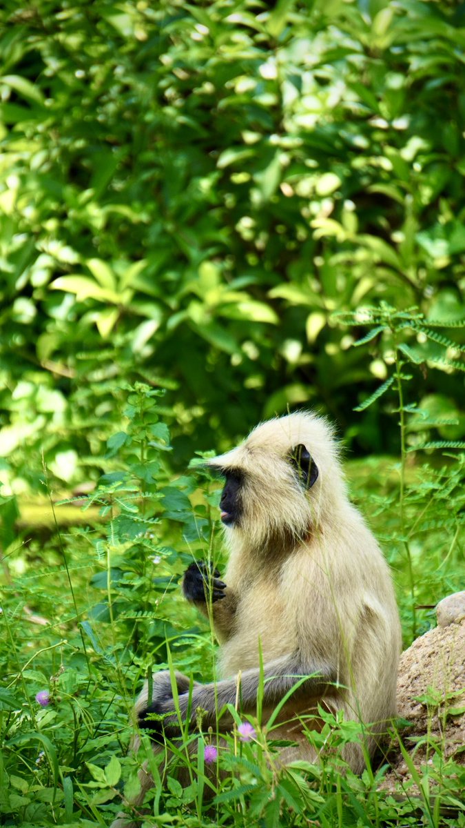 i guess he didn’t like that plant 🌱