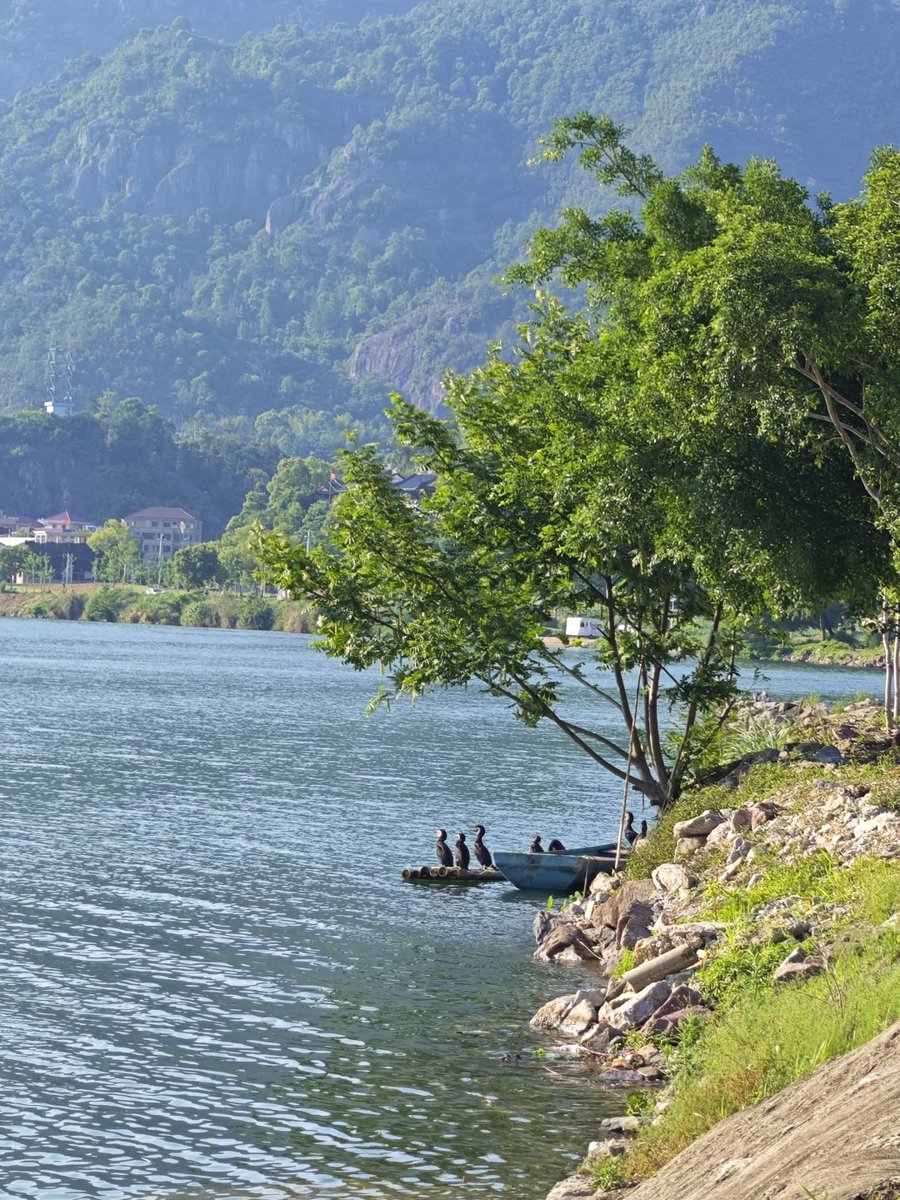 Codiecewser's tweet image. 今日は青空が広がって、気温もちょうど良い 。
そよ風が心地よく、陽ざしもやわらか～🌿
目に映る景色はどこも本当に美しくて、思わず見とれてしまう😊