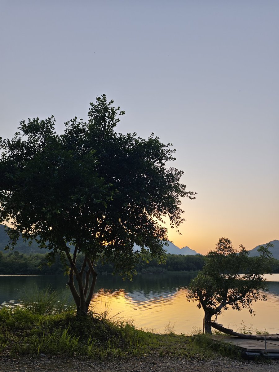 Codiecewser's tweet image. 今日は青空が広がって、気温もちょうど良い 。
そよ風が心地よく、陽ざしもやわらか～🌿
目に映る景色はどこも本当に美しくて、思わず見とれてしまう😊